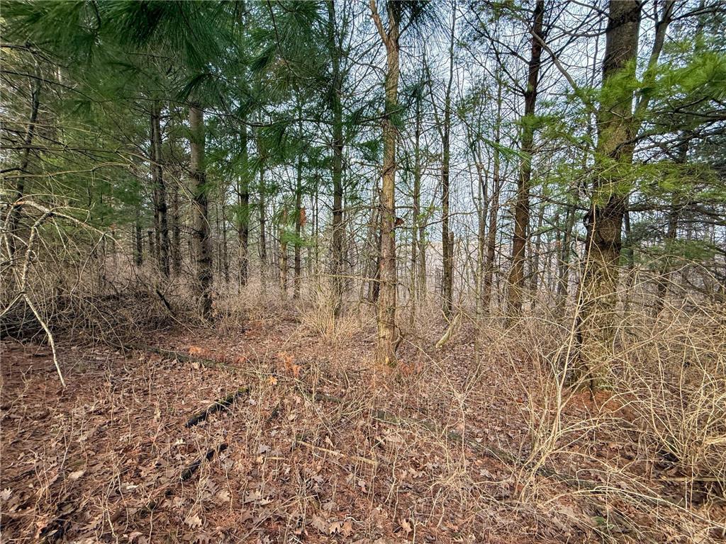 11719 Ridgeview Road Hokah MN 55941 7042676 image60