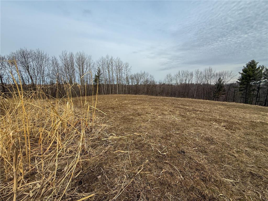 11719 Ridgeview Road Hokah MN 55941 7042676 image61