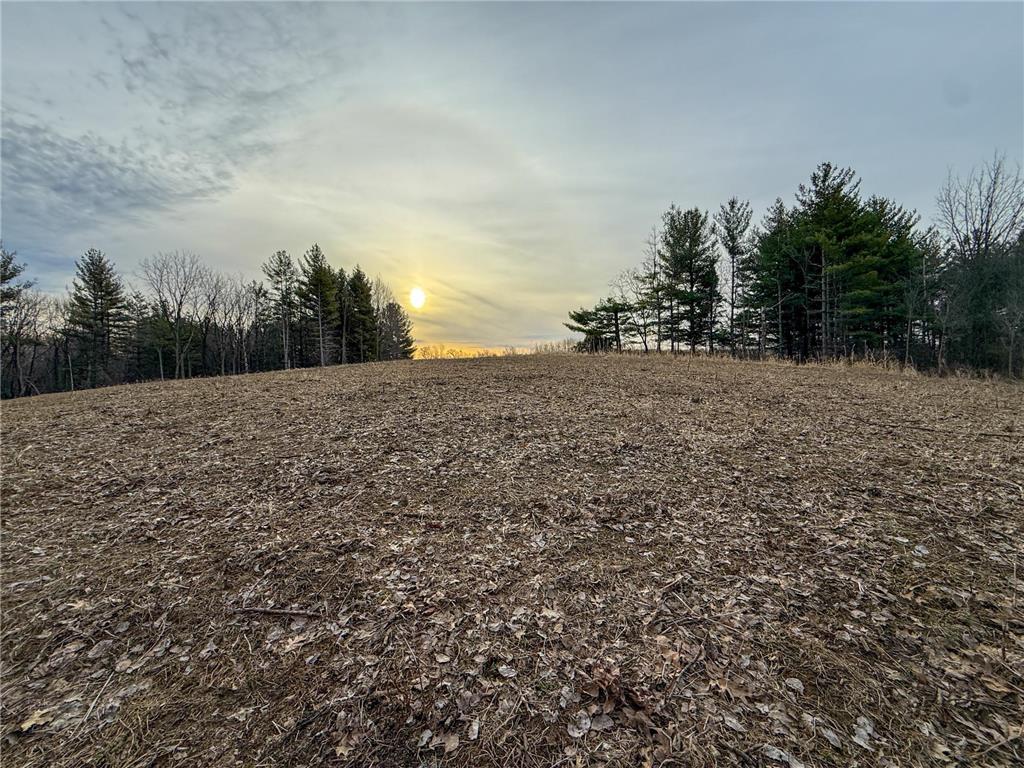 11719 Ridgeview Road Hokah MN 55941 7042676 image62