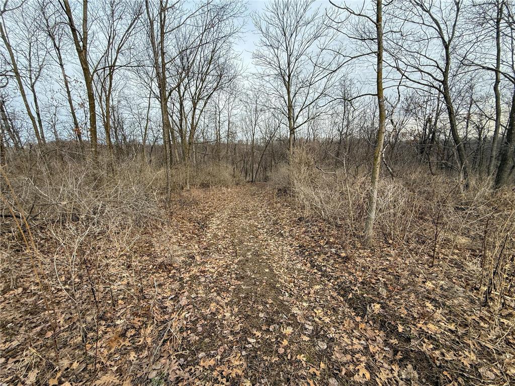11719 Ridgeview Road Hokah MN 55941 7042676 image63