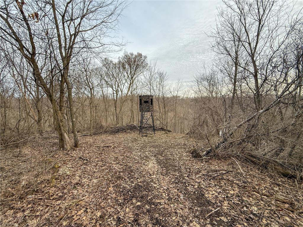 11719 Ridgeview Road Hokah MN 55941 7042676 image64