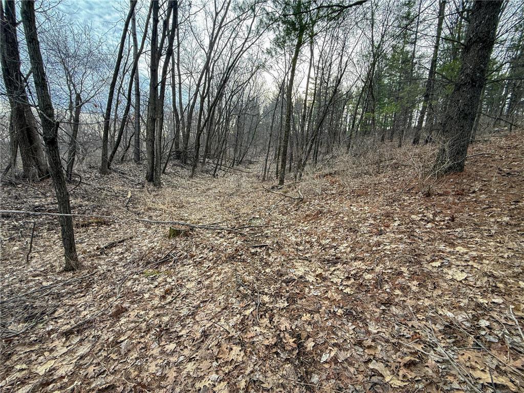 11719 Ridgeview Road Hokah MN 55941 7042676 image65