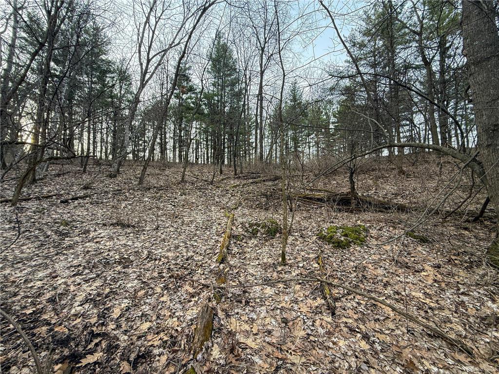 11719 Ridgeview Road Hokah MN 55941 7042676 image66