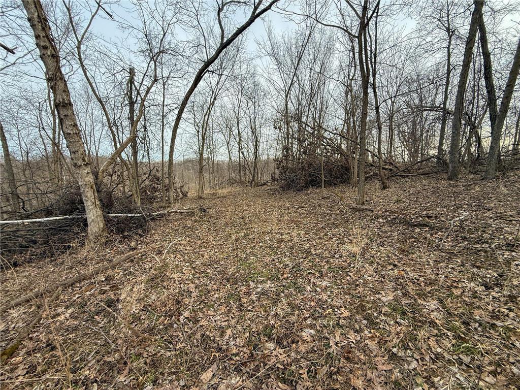 11719 Ridgeview Road Hokah MN 55941 7042676 image67