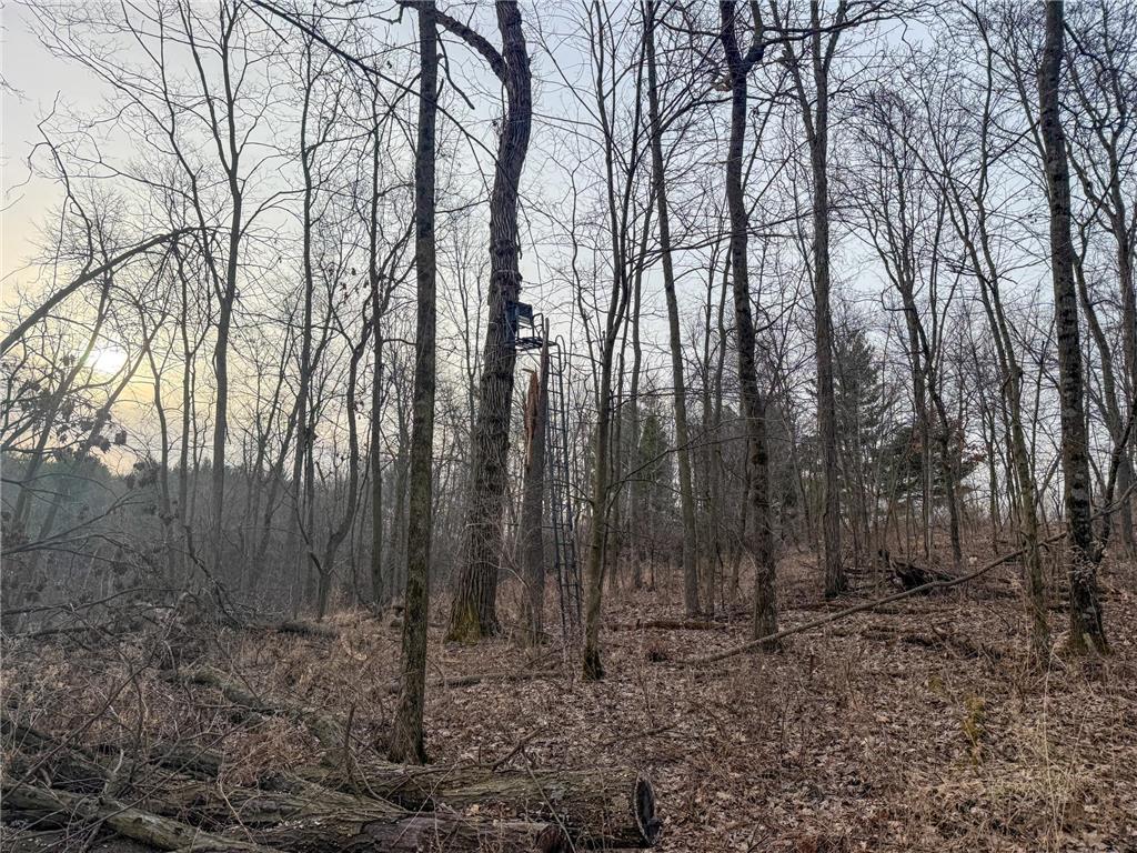 11719 Ridgeview Road Hokah MN 55941 7042676 image69