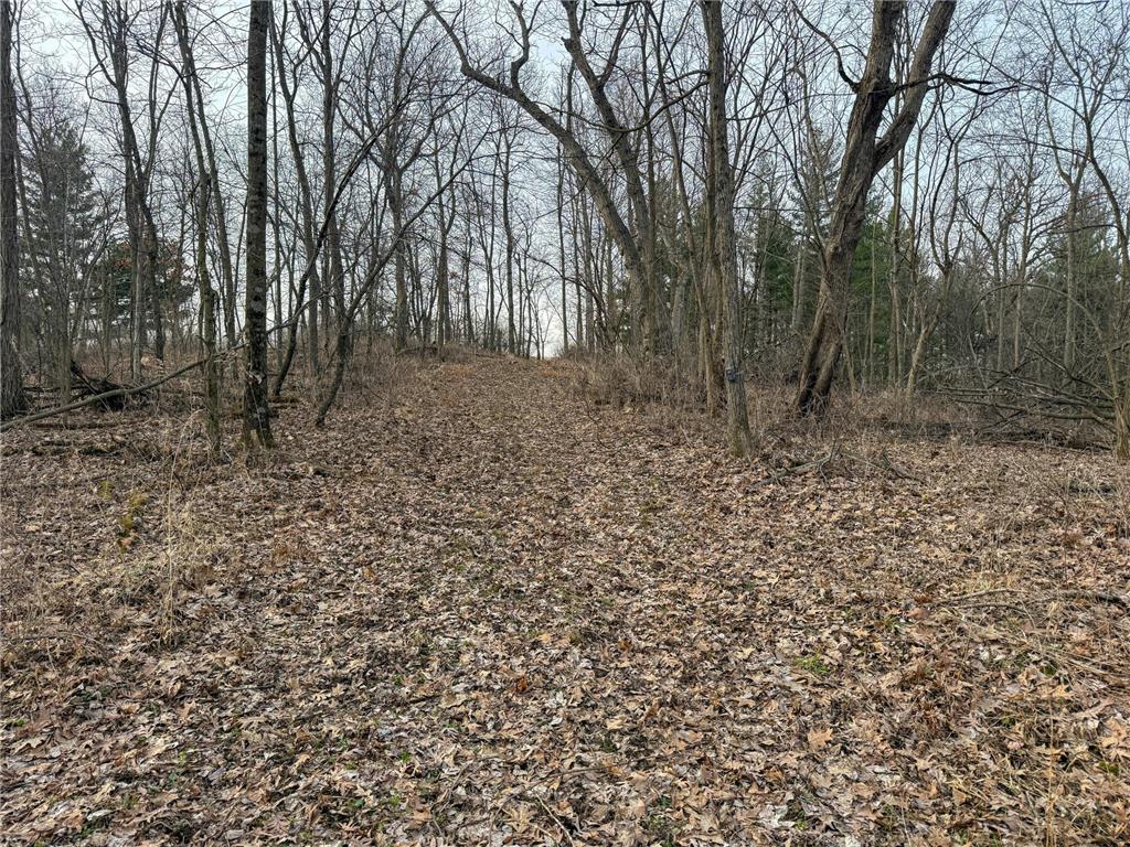 11719 Ridgeview Road Hokah MN 55941 7042676 image70