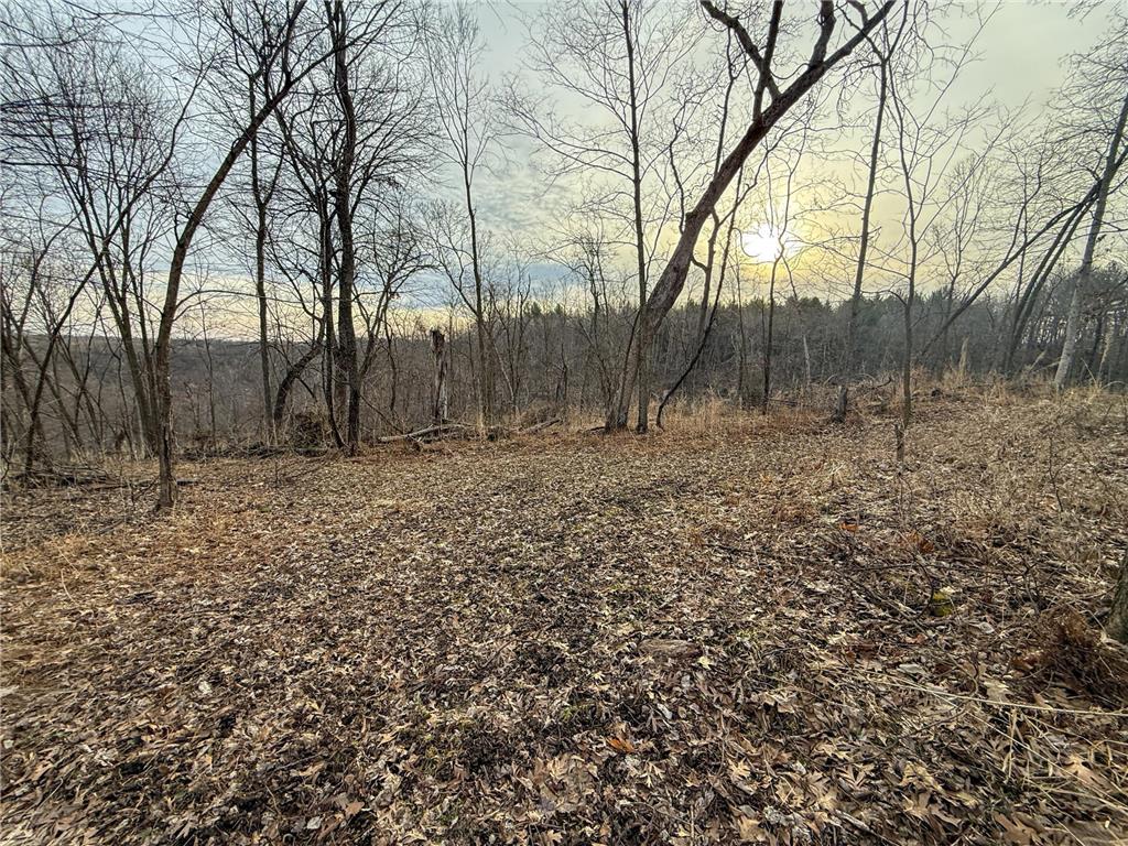 11719 Ridgeview Road Hokah MN 55941 7042676 image71