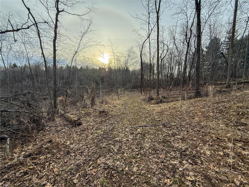 11719 Ridgeview Road Hokah MN 55941 7042676 image72