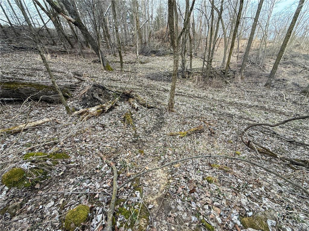 11719 Ridgeview Road Hokah MN 55941 7042676 image73