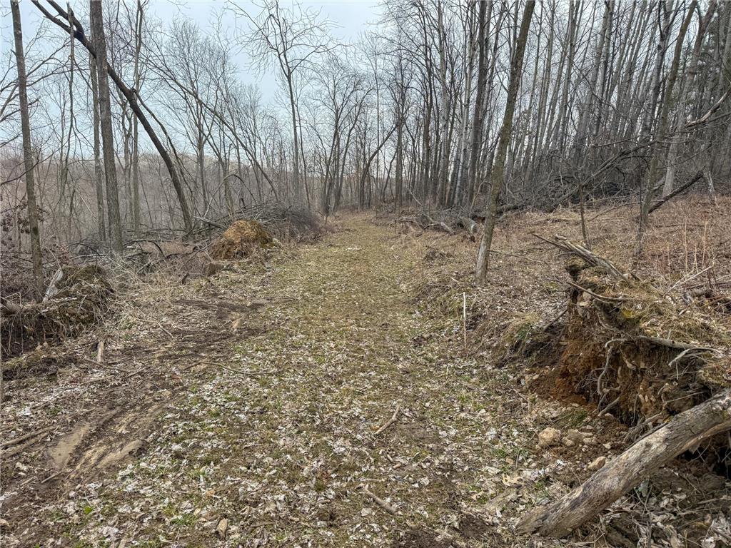 11719 Ridgeview Road Hokah MN 55941 7042676 image74