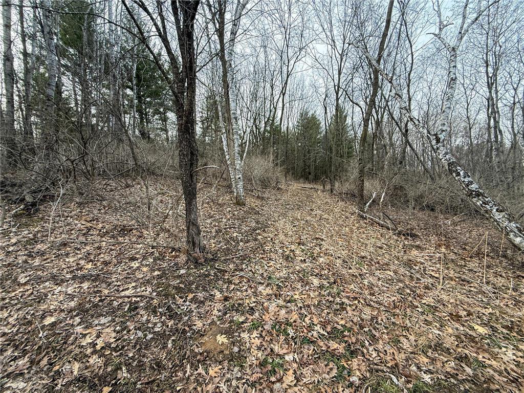 11719 Ridgeview Road Hokah MN 55941 7042676 image76