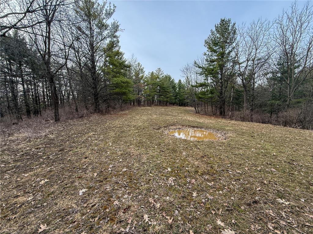 11719 Ridgeview Road Hokah MN 55941 7042676 image77
