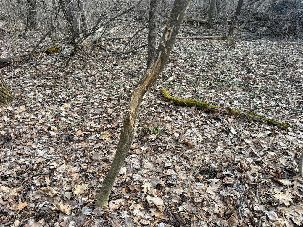 11719 Ridgeview Road Hokah MN 55941 7042676 image78