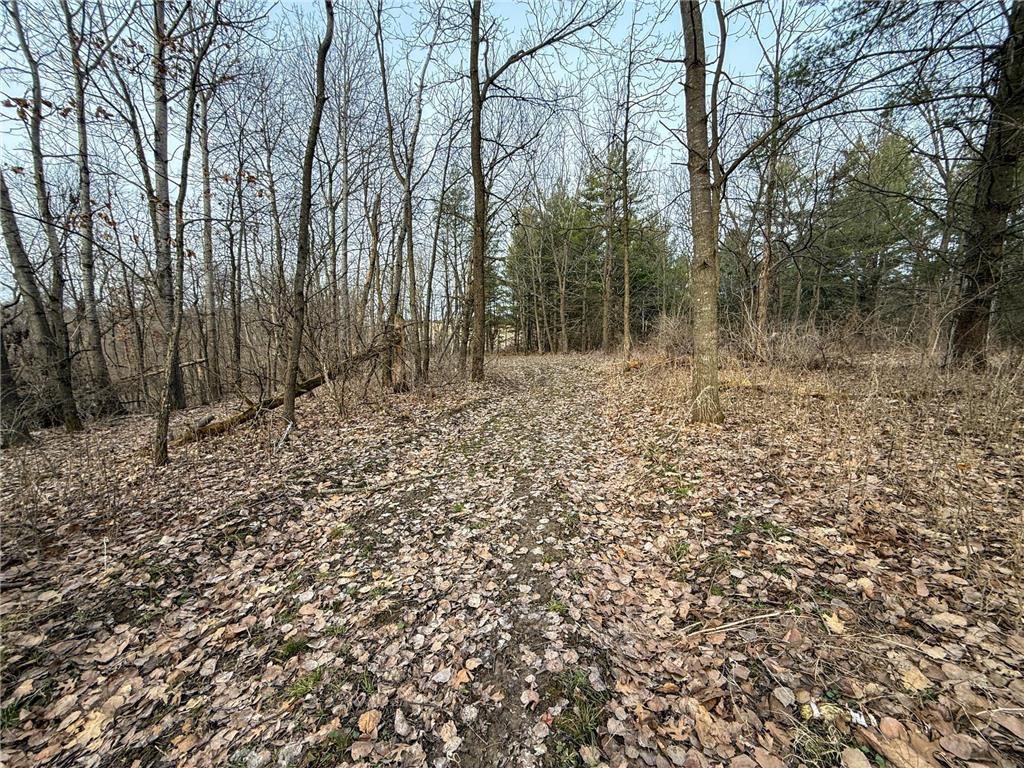 11719 Ridgeview Road Hokah MN 55941 7042676 image79
