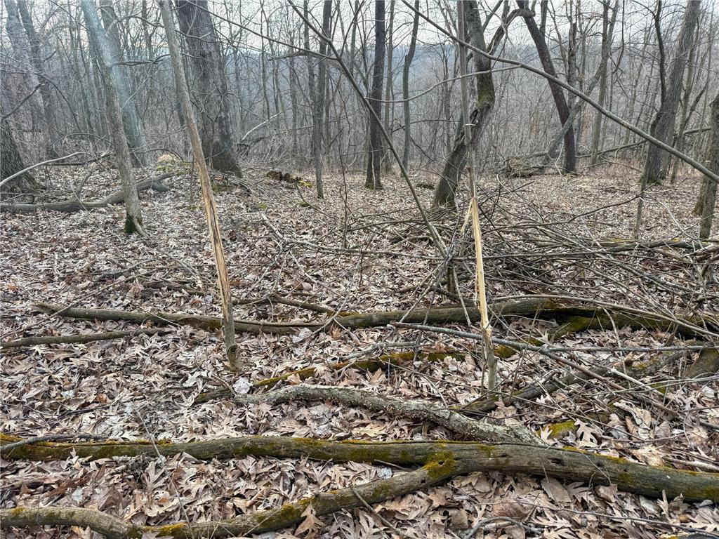 11719 Ridgeview Road Hokah MN 55941 7042676 image81