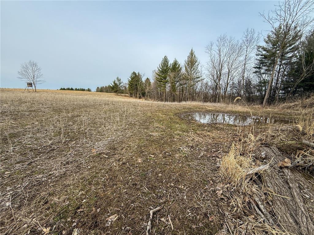 11719 Ridgeview Road Hokah MN 55941 7042676 image82