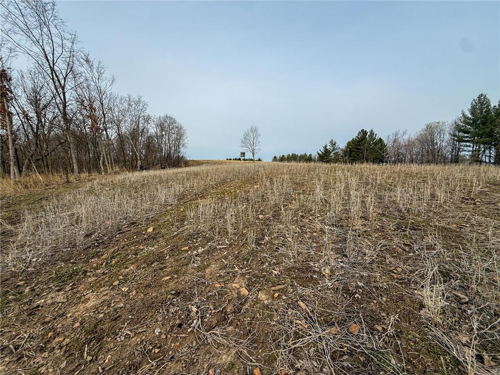 11719 Ridgeview Road Hokah MN 55941 7042676 image83