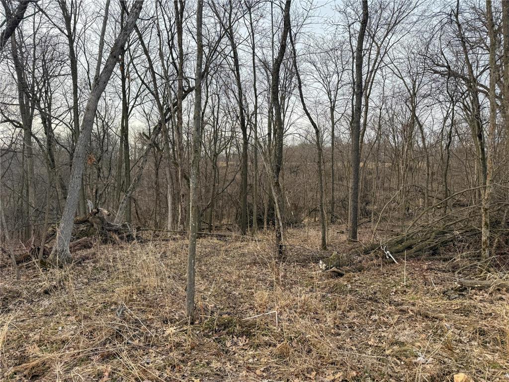 11719 Ridgeview Road Hokah MN 55941 7042676 image84