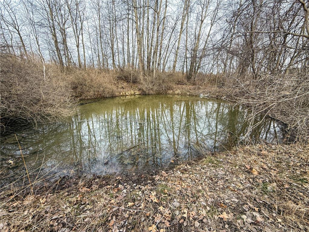 11719 Ridgeview Road Hokah MN 55941 7042676 image85