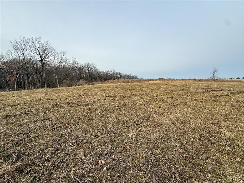 11719 Ridgeview Road Hokah MN 55941 7042676 image87