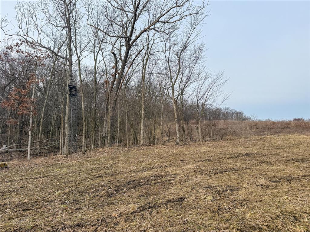 11719 Ridgeview Road Hokah MN 55941 7042676 image88