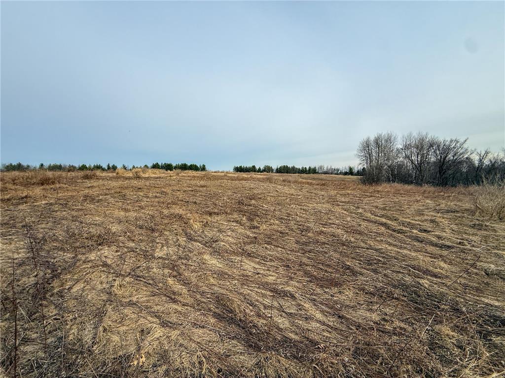 11719 Ridgeview Road Hokah MN 55941 7042676 image89