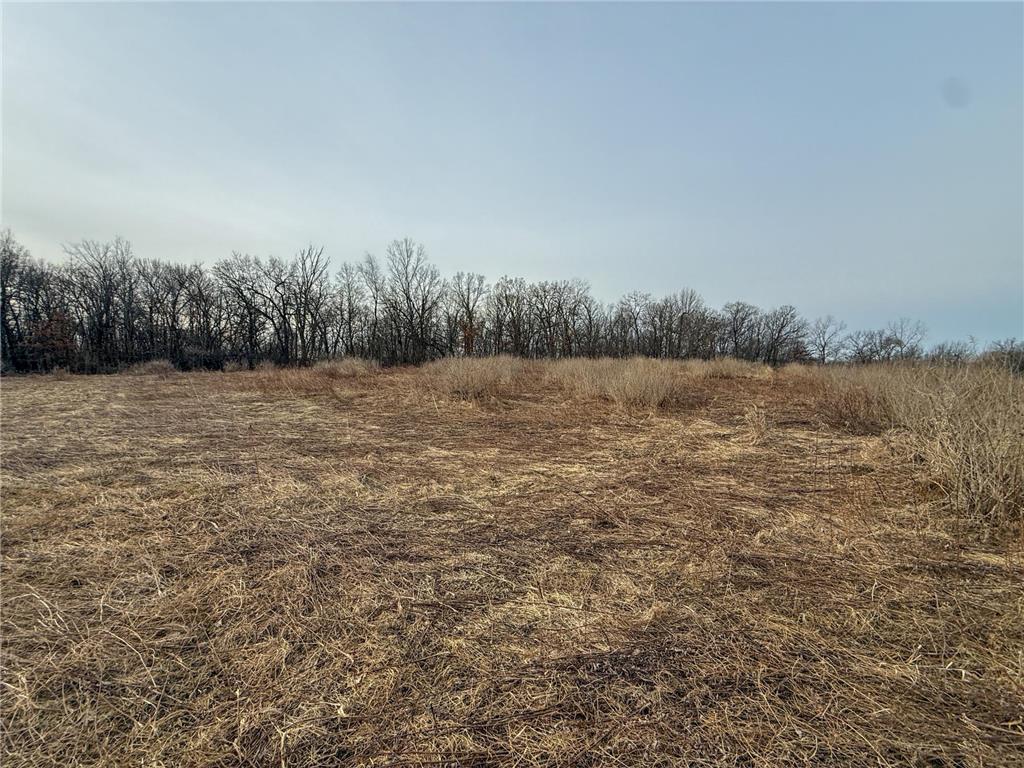 11719 Ridgeview Road Hokah MN 55941 7042676 image90
