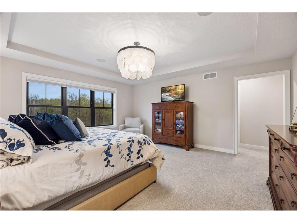 11724 Azure Lane Inver Grove Heights MN 55077 7045556 image28