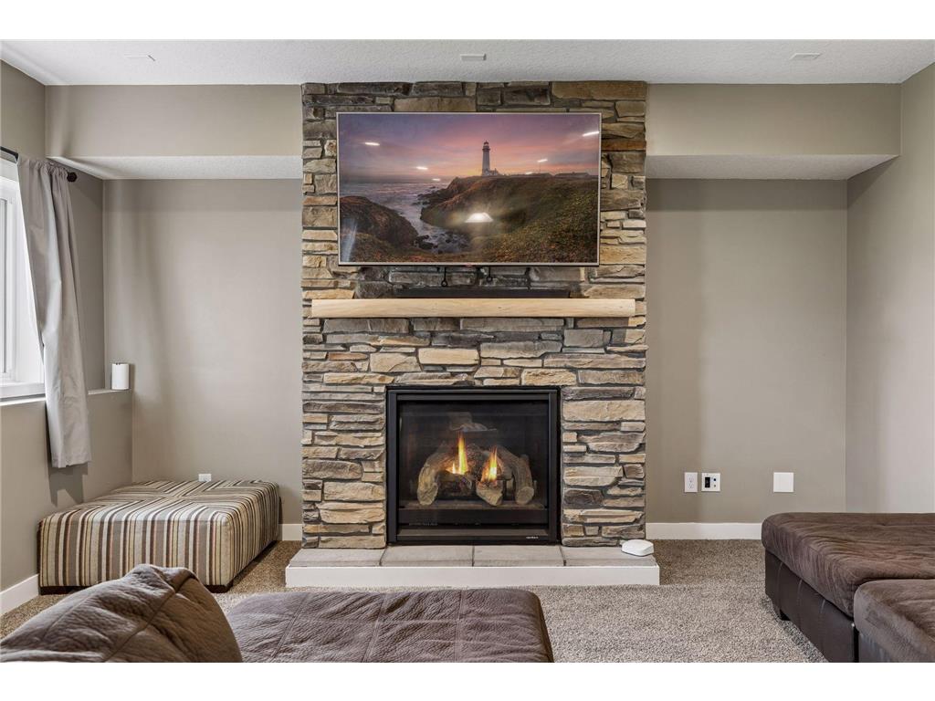 1173 Rosemary Lane Chaska MN 55318 7103962 image45