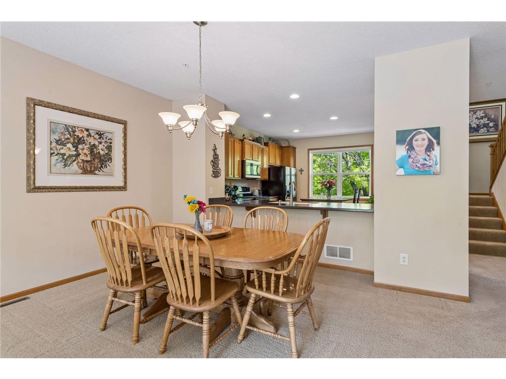 11733 Emery Village Drive N Champlin MN 55316 7078959 image13