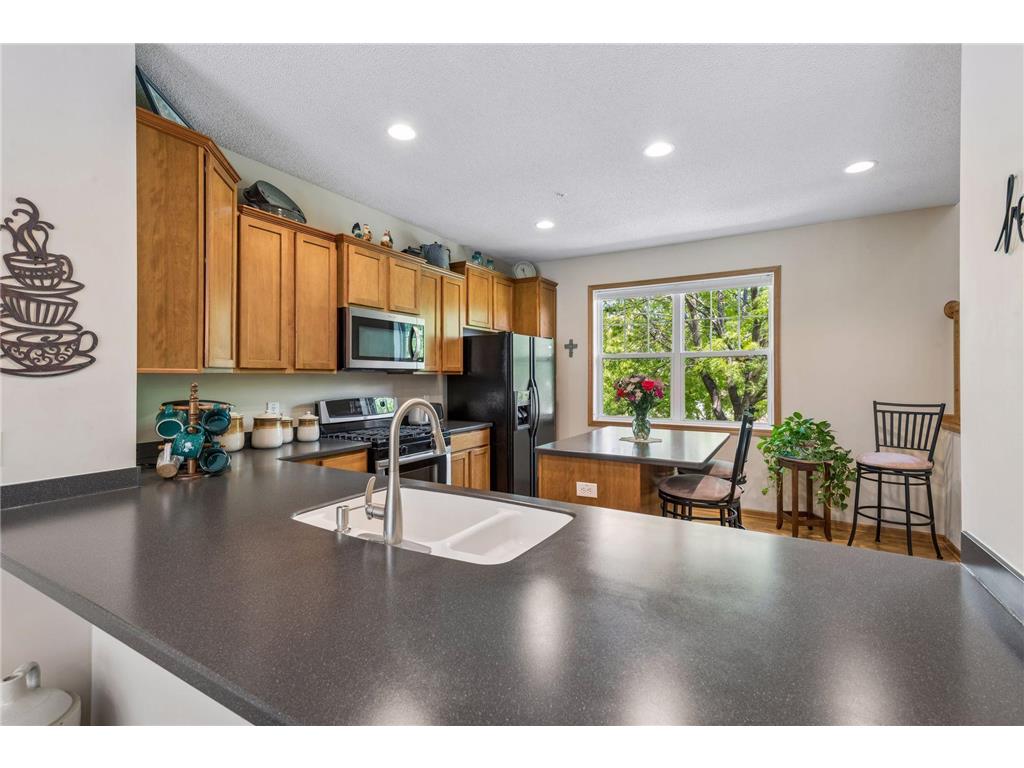 11733 Emery Village Drive N Champlin MN 55316 7078959 image14