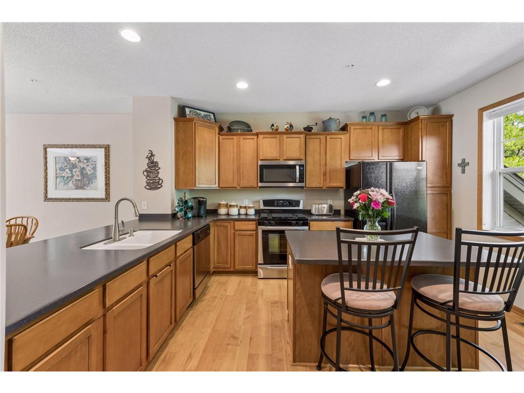 11733 Emery Village Drive N Champlin MN 55316 7078959 image15