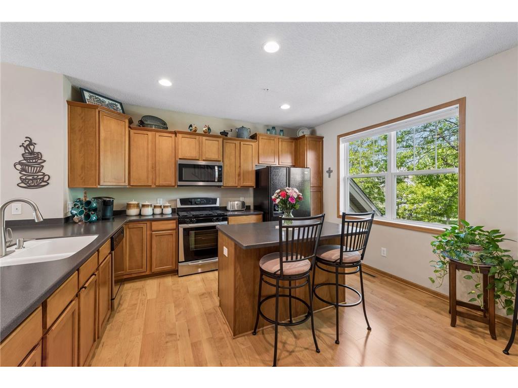 11733 Emery Village Drive N Champlin MN 55316 7078959 image16