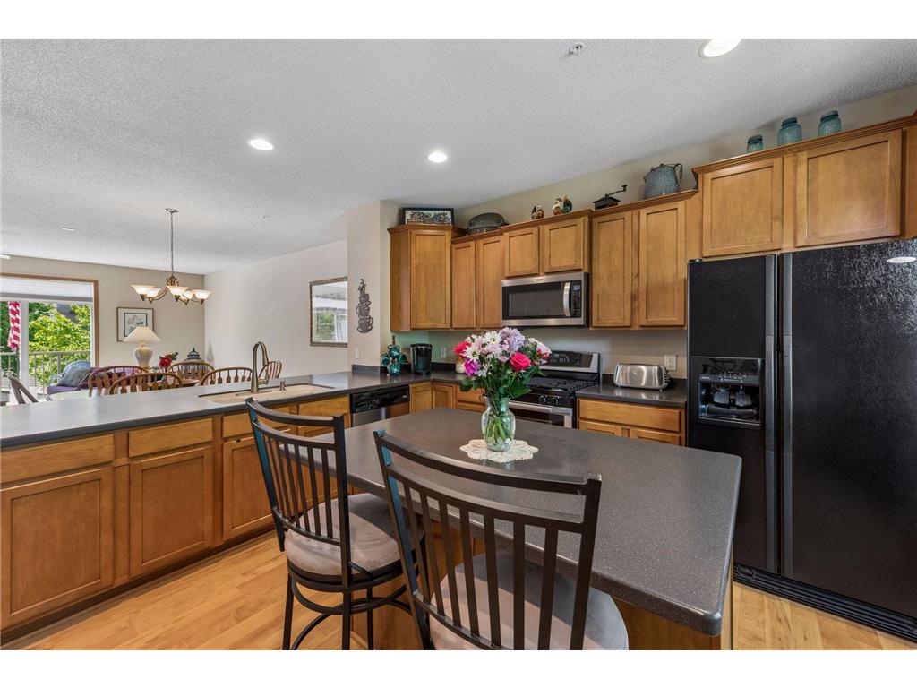 11733 Emery Village Drive N Champlin MN 55316 7078959 image17