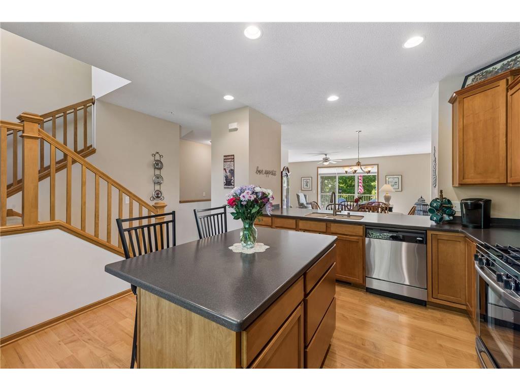 11733 Emery Village Drive N Champlin MN 55316 7078959 image18