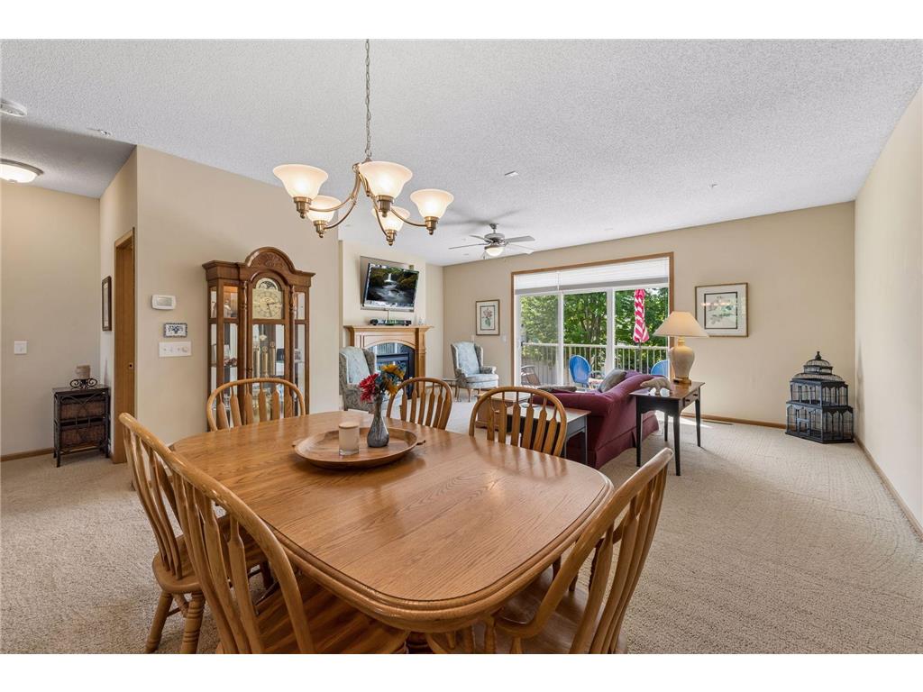11733 Emery Village Drive N Champlin MN 55316 7078959 image9