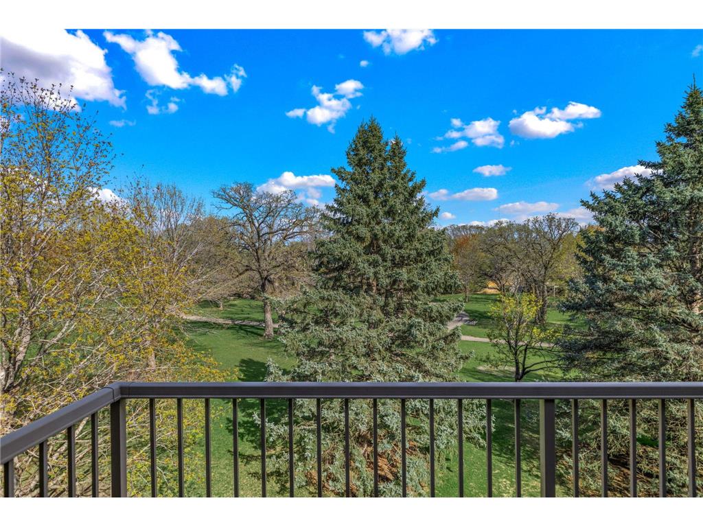 11733 Tulip Street NW Coon Rapids MN 55433 7050294 image28