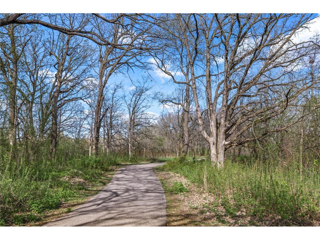 11733 Tulip Street NW Coon Rapids MN 55433 7050294 image39