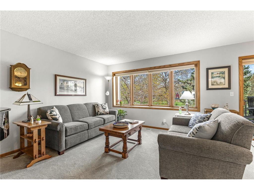 11733 Tulip Street NW Coon Rapids MN 55433 7050294 image6