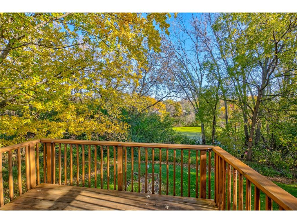 1174 Benton Way Arden Hills MN 55112 6806655 image20
