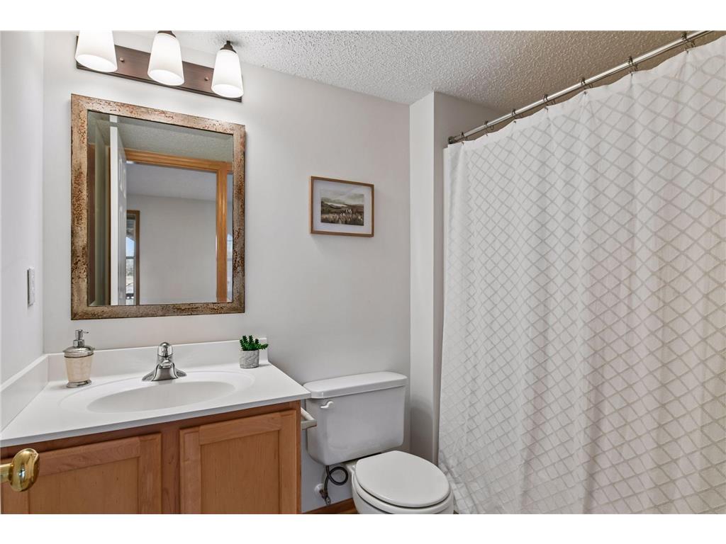 1174 Savanna Trail Victoria MN 55386 7061884 image50