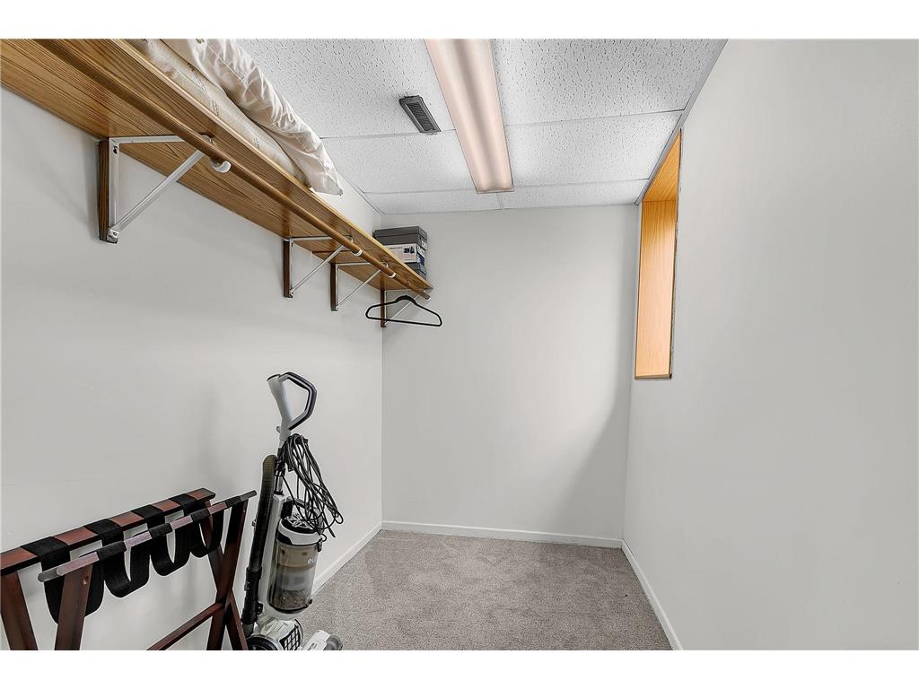 11745 42nd Street SE Palmer Twp MN 55319 - Julia Lake 7069893 image34