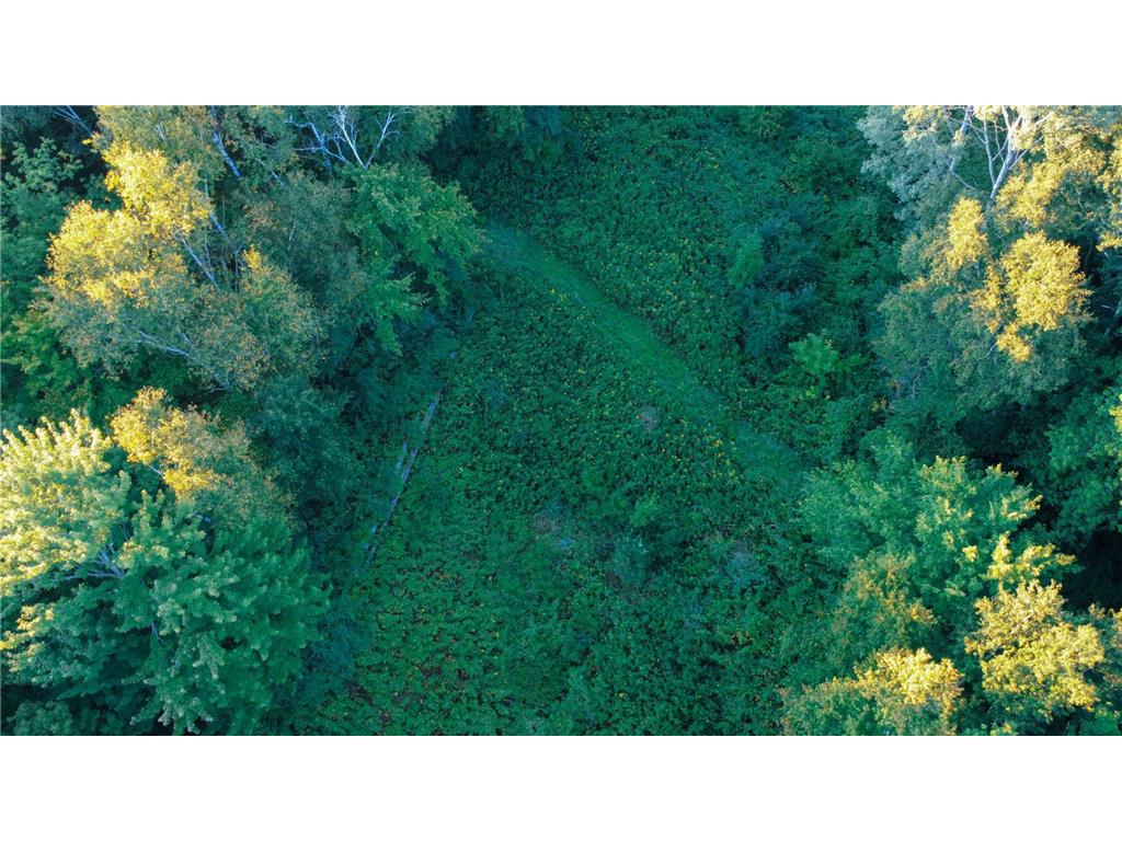 1174 230th Street Baldwin WI 54002 6784514 image18