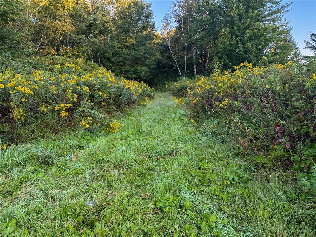 1174 230th Street Baldwin WI 54002 6784514 image27