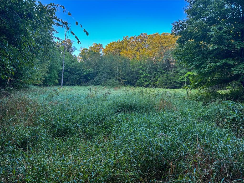 1174 230th Street Baldwin WI 54002 6784514 image34