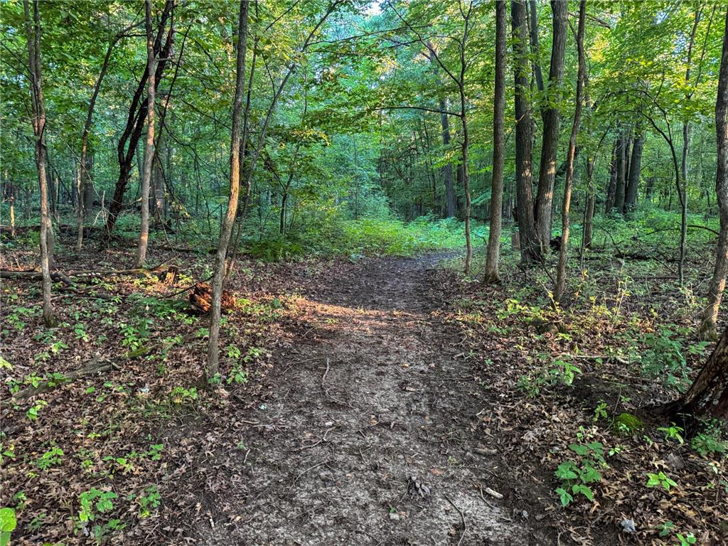 1174 230th Street Baldwin WI 54002 6784514 image35