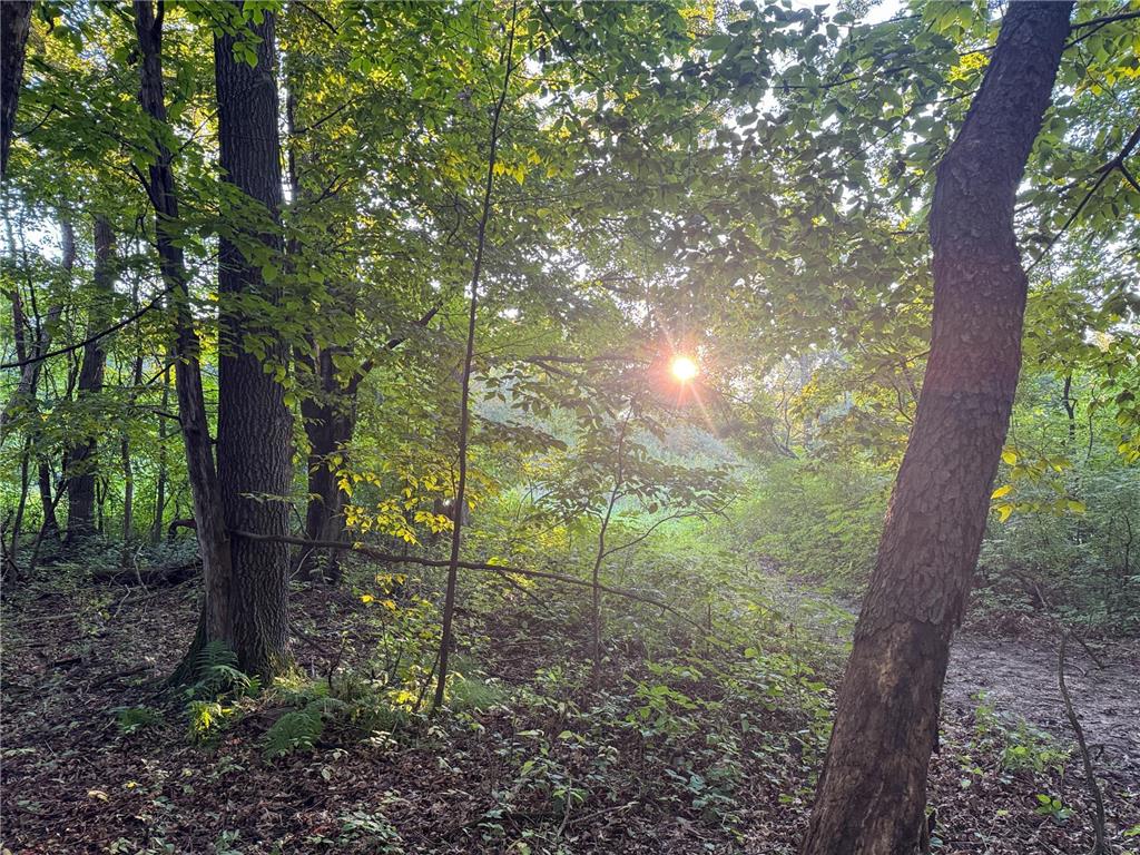 1174 230th Street Baldwin WI 54002 6784514 image36