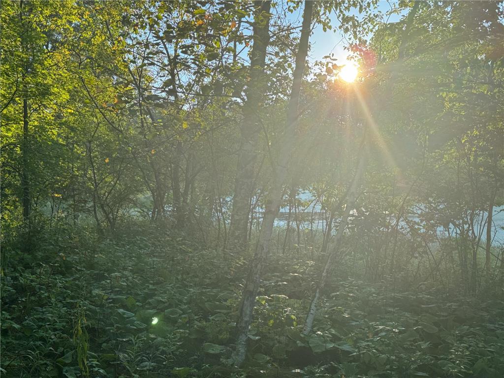 1174 230th Street Baldwin WI 54002 6784514 image40