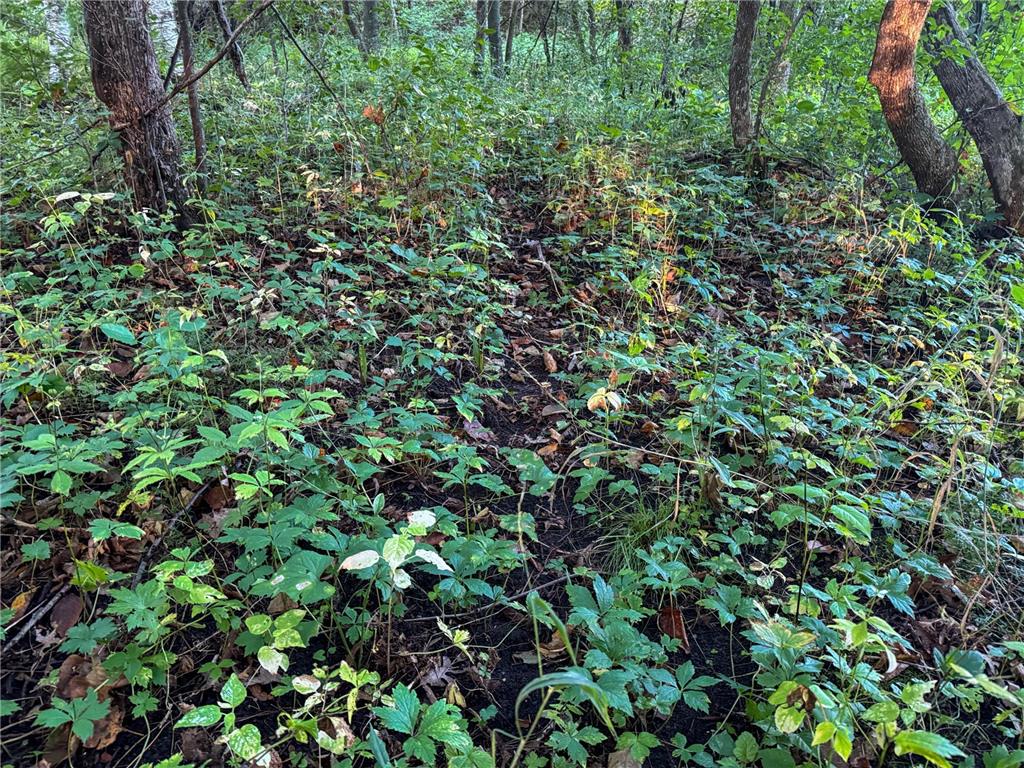 1174 230th Street Baldwin WI 54002 6784514 image41