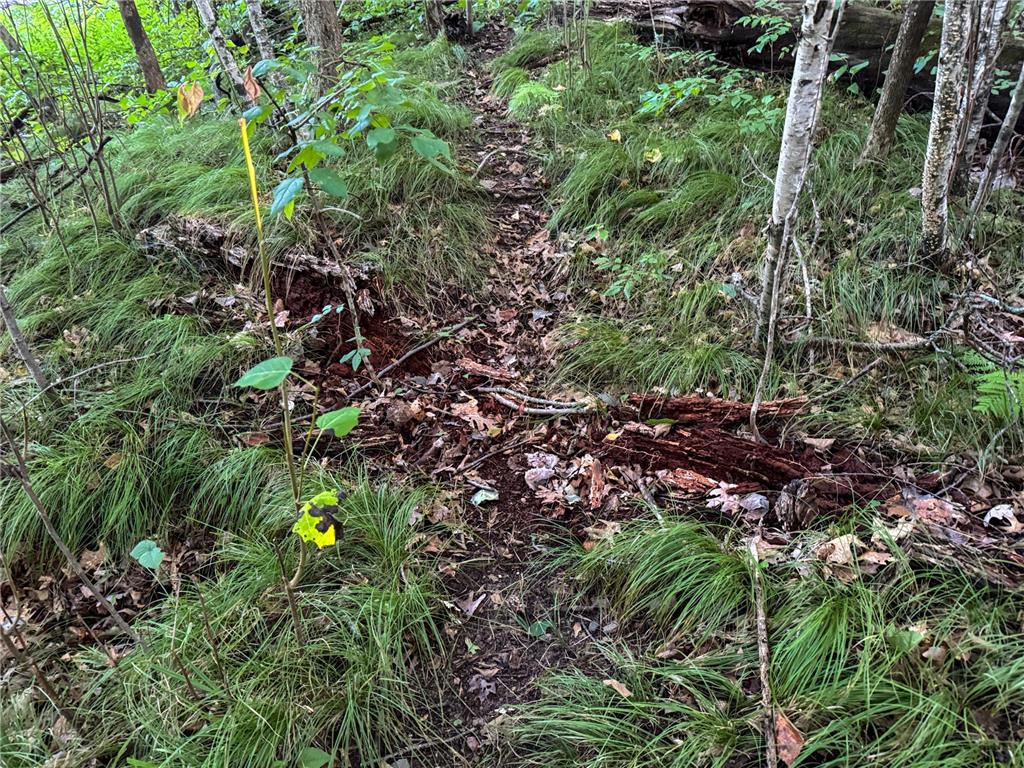 1174 230th Street Baldwin WI 54002 6784514 image42